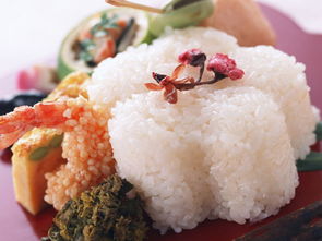 广州膳食管理与饮食服务 打造健康生活新标杆